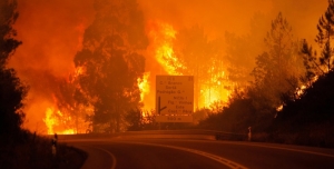 Apelo de emerg&ecirc;ncia para apoio &agrave;s v&iacute;timas do inc&ecirc;ndio de Pedr&oacute;g&atilde;o Grande
