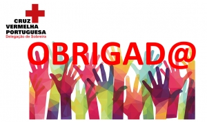 DIA INTERNACIONAL DO VOLUNTARIADO