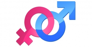 Promoção da Igualdade de Género